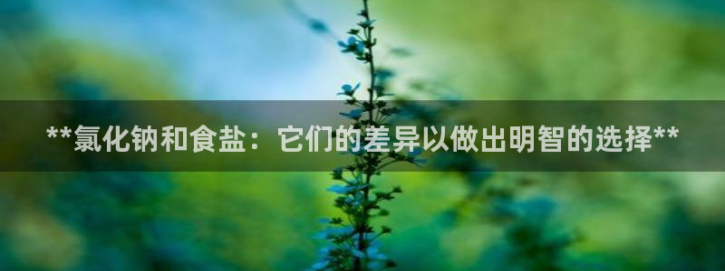 威九国际FT
