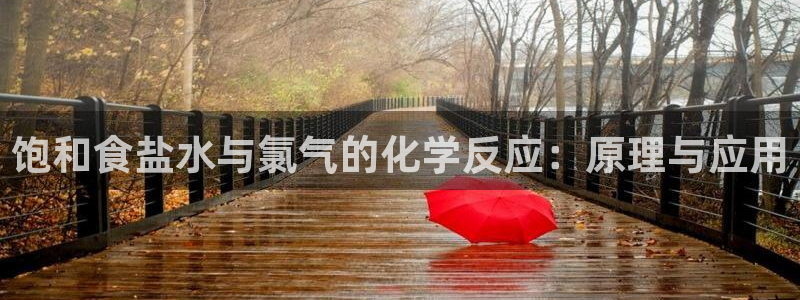 威九国际78m78下载