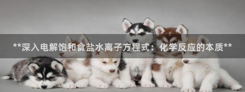 威九国际网站进入公司不断创新