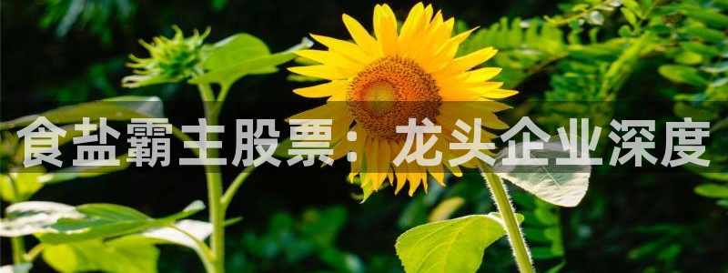 威九国际66m66
