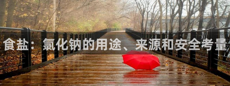 威九国际演员表