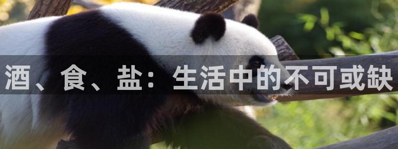 威九国际后爸