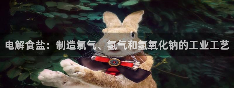 威九国际app入口官网
