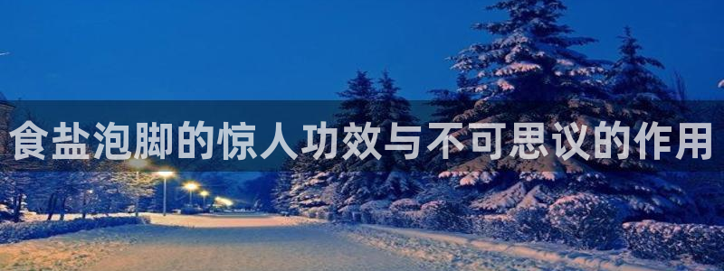 威九国际H
