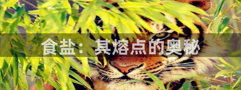 威九国际女神