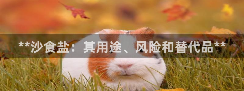 威九国际v96bet下载