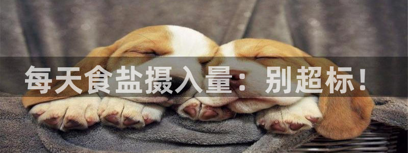 威九国际网站官网