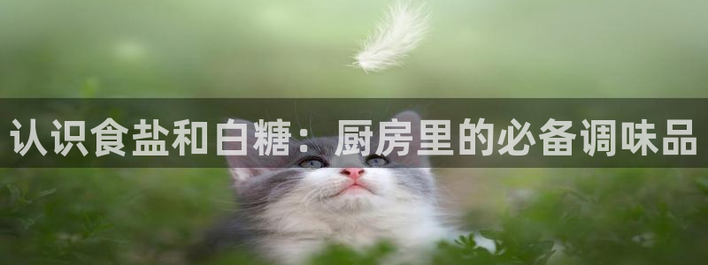 威九国际游戏app(网站)