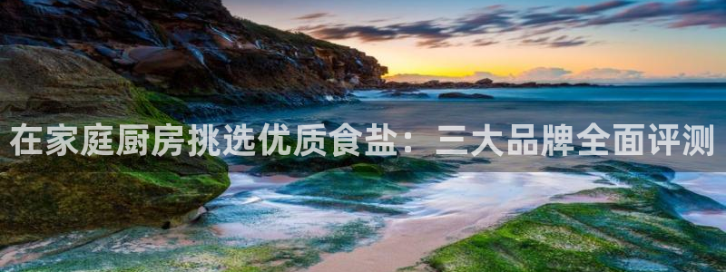 威九国际下载
