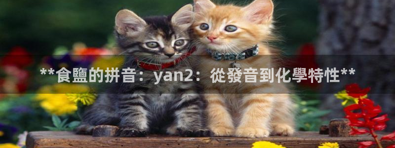 威九国际AN