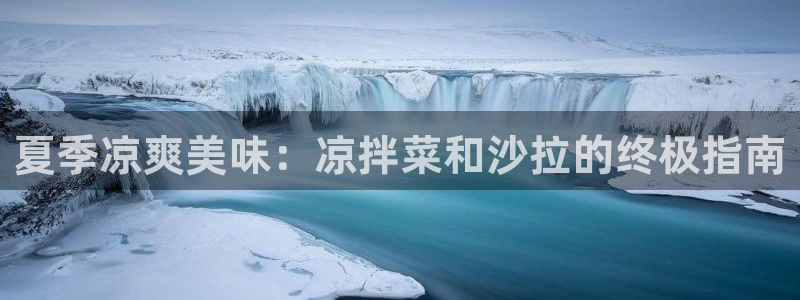 威九国际ppt免费