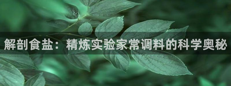 威九国际免费网络站