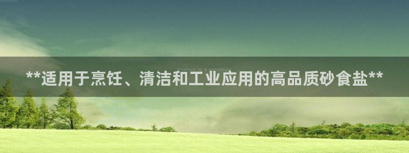 威九国际软件公司简介