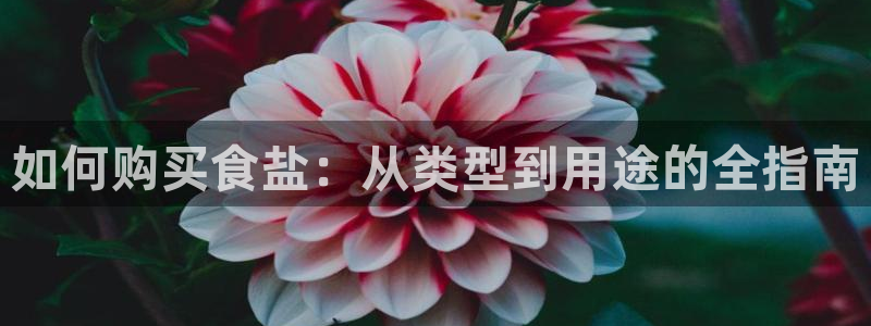 威九国际体育