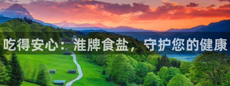 威九国际小说