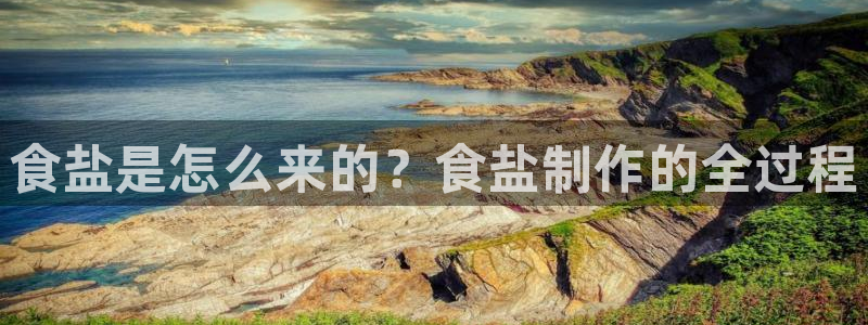威九国际66视频