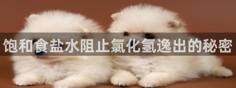 威九国际app客服电话