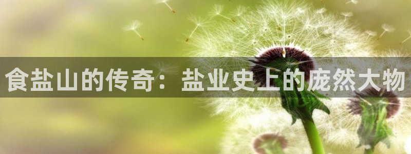 威九国际官网登录入口