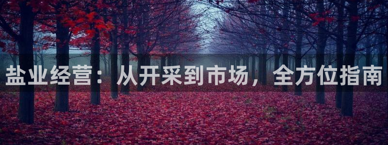 威九国际官网在线进入网站查询
