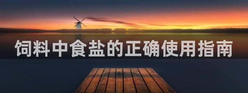 威九国际网站入口官网免费下载