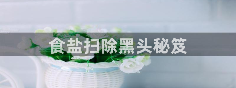 威九国际ppt免费吗