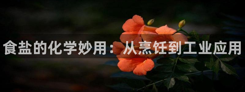 威九国际免费网络站