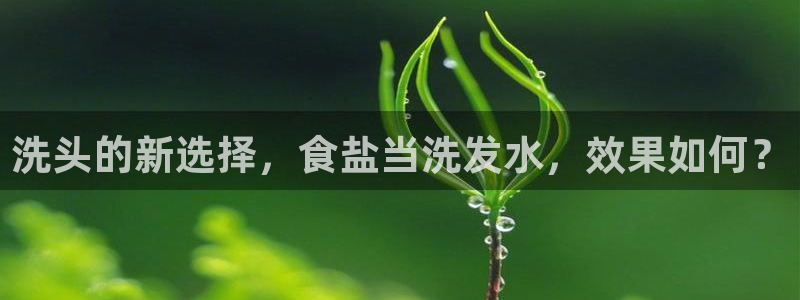 威九国际游戏