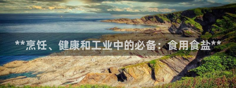 威九国际v96bet官网版