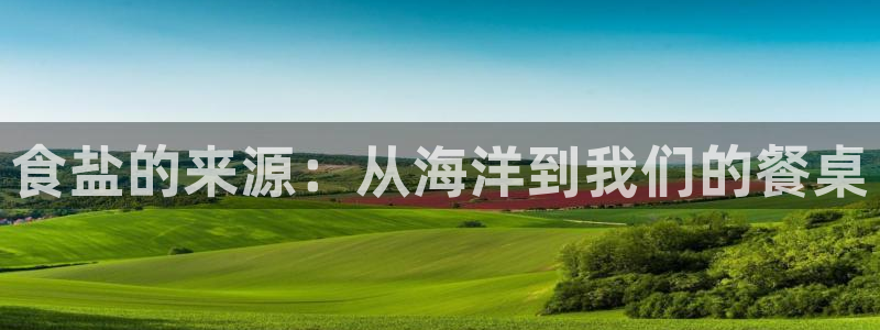 威九国际78mb下载