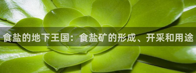 威九国际网站怎么样知乎