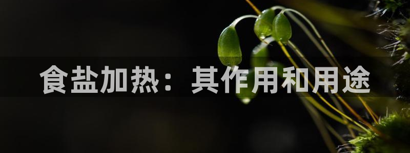 威九国际mv
