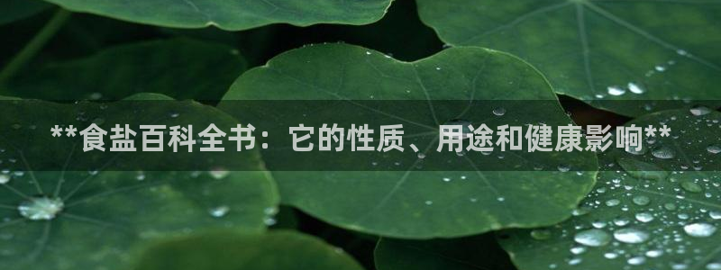 威九国际下载官网app