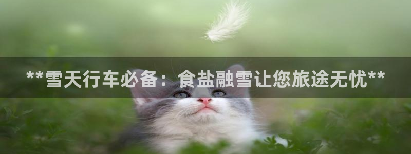 威九国际66m66大陆