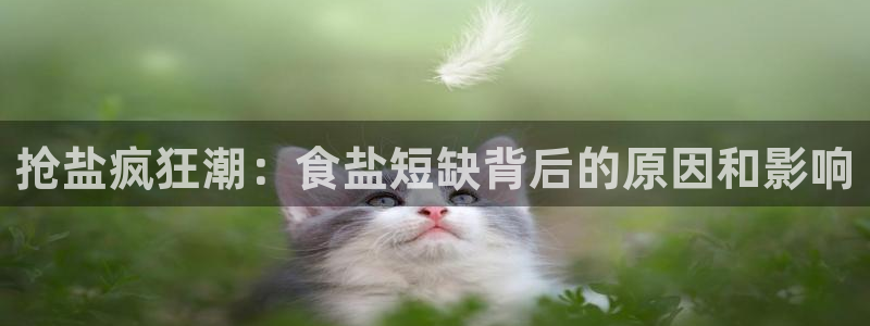 威九国际78mob游戏特色