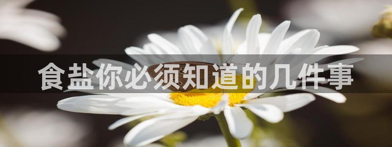 威九国际网站传媒招聘