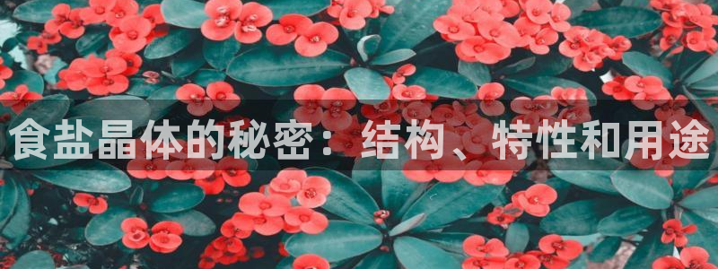 威九国际网站经常打不开网页
