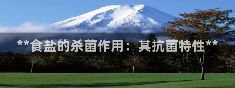 威九国际