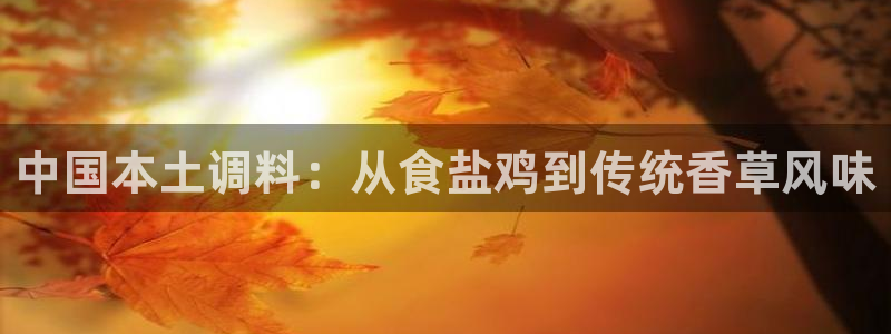 威九国际小说