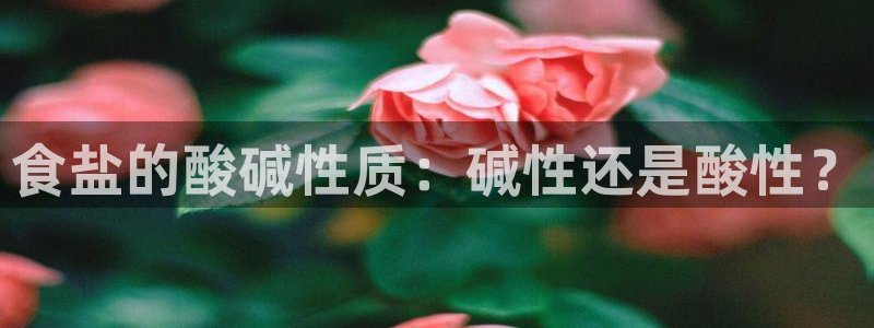 威九国际网站入口官网免费