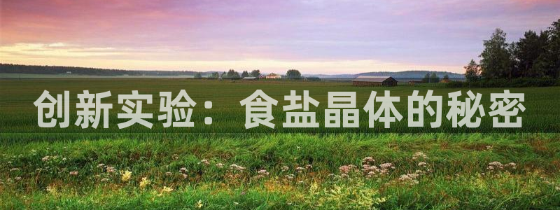 威九国际官网在线进入网站查询