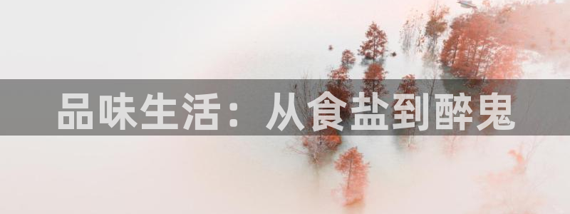 威九国际78mob游戏说明
