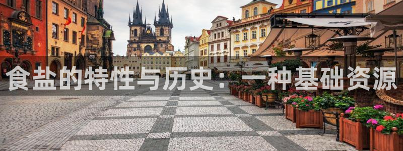 威九国际网站