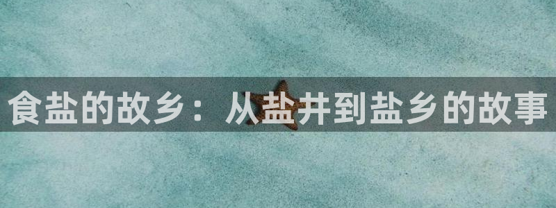 威九国际精