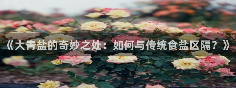 威九国际下载