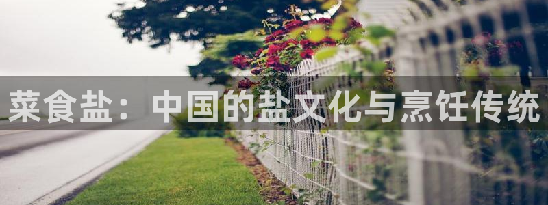 威九国际网站入口地址查询