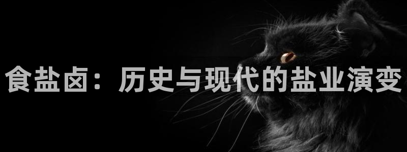 威九国际最新网站：食盐卤：历史与现代的盐业演变