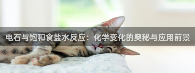 威九国际网站影视