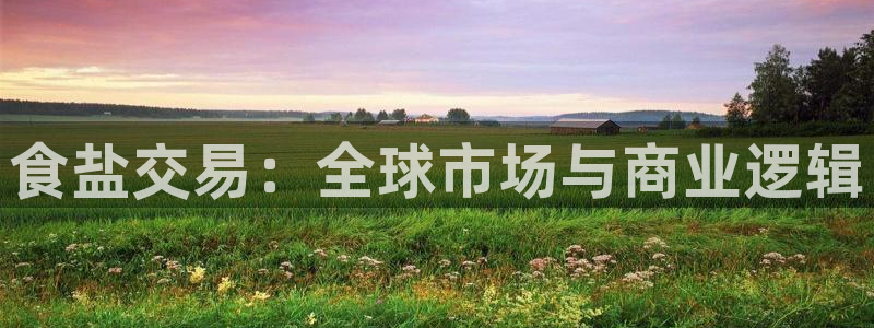 威九国际成长模式