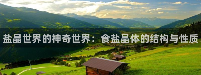 威九国际黄威尼斯
