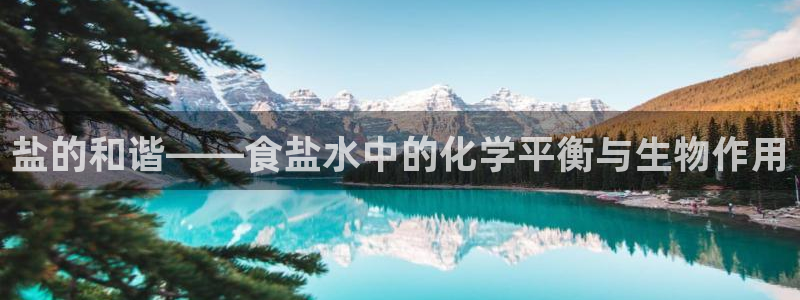 威九国际精忐